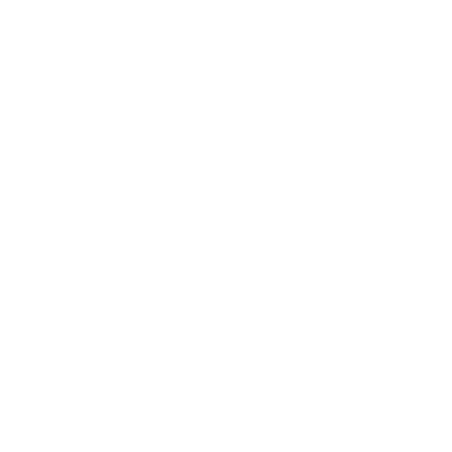 WordPress Care for your website